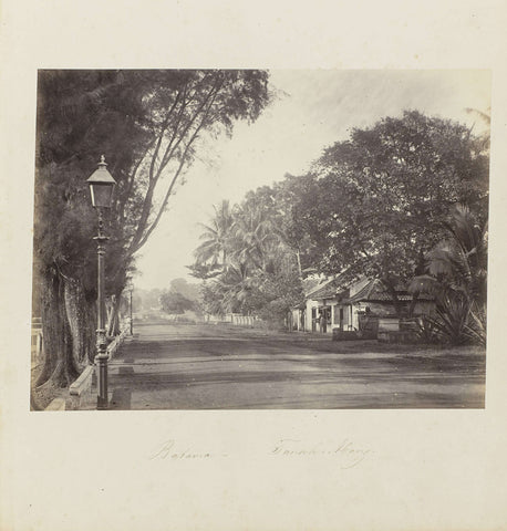 Batavia - Tanah-Abang, Woodbury &Page, 1863 - 1866 Canvas Print