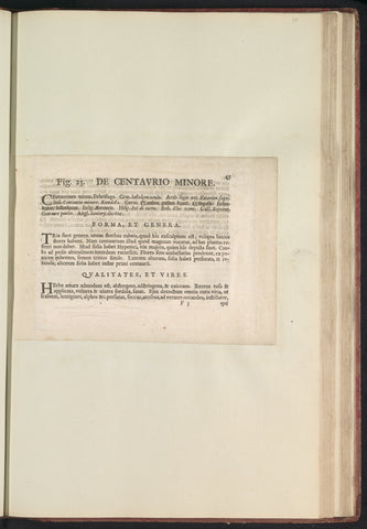 Fig. 23 'De Centavrio Minore' in De Boodts herbarium of 1640, Anselmus Boëtius de Boodt, 1640 Canvas Print