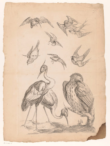 Ten Chinese birds, including two herons and a kingfisher, Gabriel Huquier (attributed to), 1742 - 1750 Canvas Print