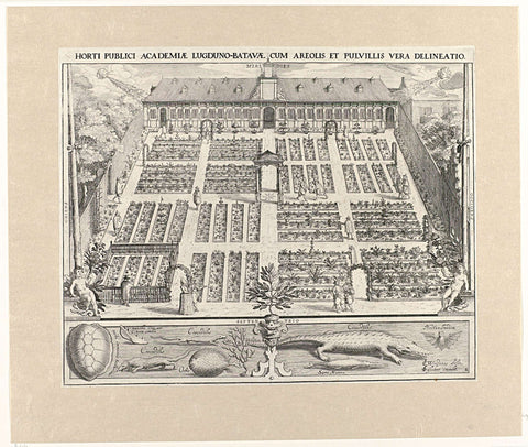 Hortus Botanicus of Leiden University, Willem Isaacsz. of Swanenburg, 1644 Canvas Print