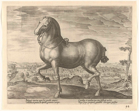 Horse from England, Hans Collaert (I) (attributed to), c. 1578 - c. 1582 Canvas Print