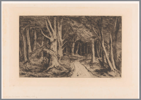 Forest edge with forest path, Carel Nicolaas Storm van 's-Gravesande, 1880 - 1884 Canvas Print