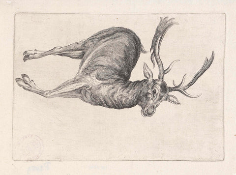 Shot game: a dead deer, Wenceslaus Hollar, 1646 - 1647 Canvas Print