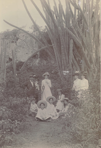 Cacti on Curaçao, Andries Augustus Boom, 1910 Canvas Print