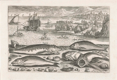 Five fish on the beach, Adriaen Collaert, after 1595 - 1618 Canvas Print