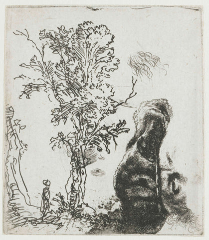 Sheet of Studies with a Tree and the Upper Part of Rembrandt’s Head in a Velvet Cap, Rembrandt van Rijn, c. 1644 Canvas Print