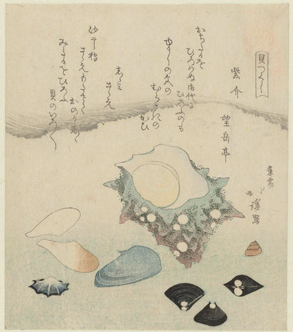 Purple conch, freshwater clams and a turban shell, Totoya Hokkei, 1821 Canvas Print