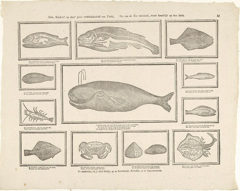 See, kids! on deez' print variety of visch, Which provides us with the sea, most tastefully on the disch, Johannes Bouwer, 1805 - 1808 Canvas Print