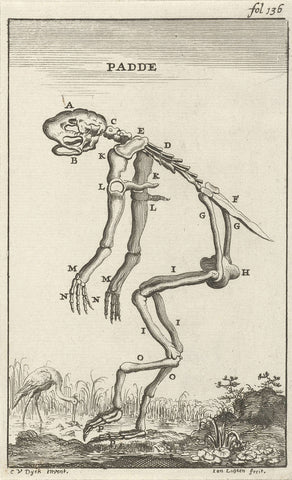 Skeleton of a path, Jan Luyken, 1680 Canvas Print