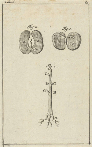 Three representations relating to the germination of seeds, Jan Luyken, 1684 Canvas Print