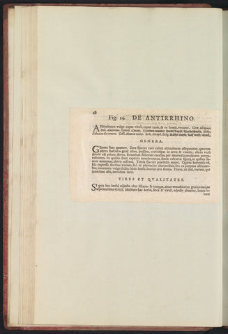 Fig. 14 'De Antirrhino' in De Boodts herbarium of 1640, Anselm Boëtius de Boodt, 1640 Canvas Print