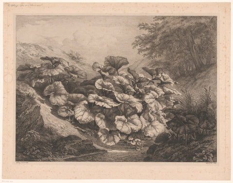 Large hoof leaf, Eugène Bléry, 1843 Canvas Print