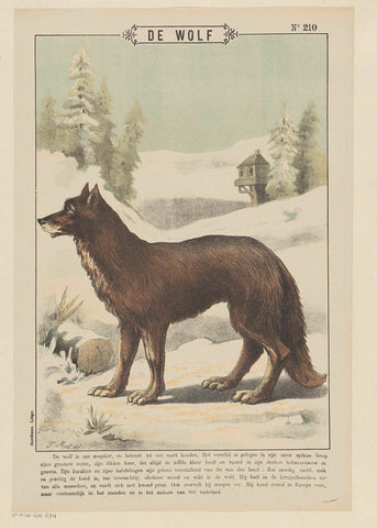 De wolf, F. Mat., 1894 - 1959 Canvas Print