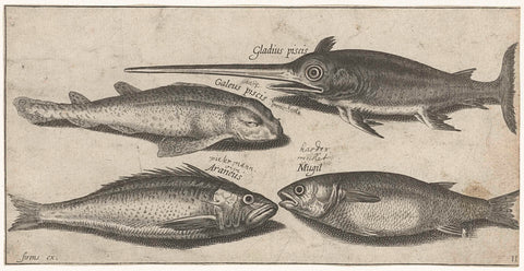 Swordfish, mullet, catshark and a pieterman, Pierre Firens, 1600 - 1638 Canvas Print