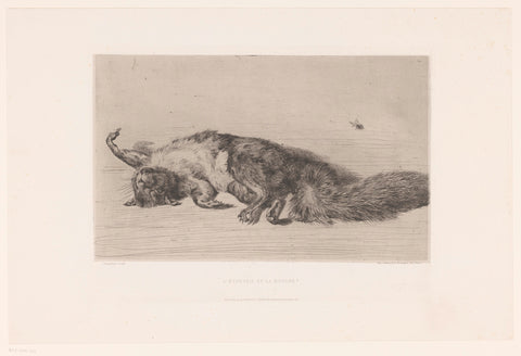 Dead squirrel and fly, Jules Ferdinand Jacquemart, 1863 Canvas Print