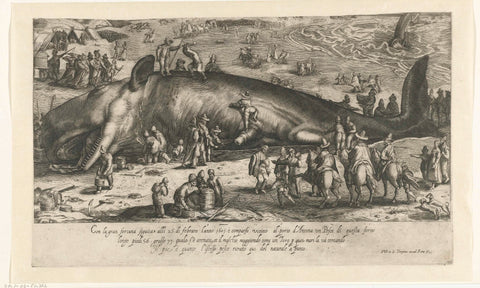 Copy of the stranded whale at Berckhey from 1598 as the whale pervaded at Ancona in 1601, anonymous, 1601 Canvas Print