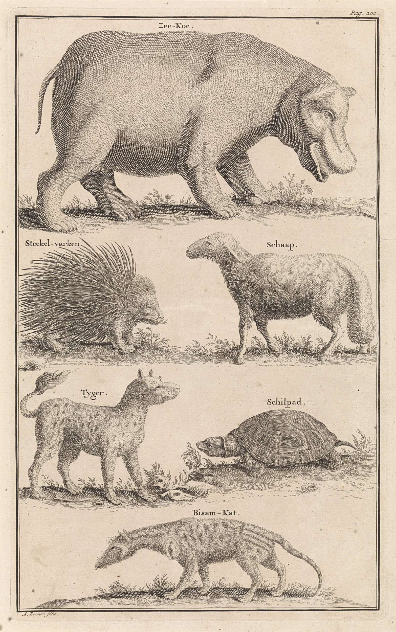 Animals in South Africa, Abraham Zeeman, 1727 | CanvasPrints.com