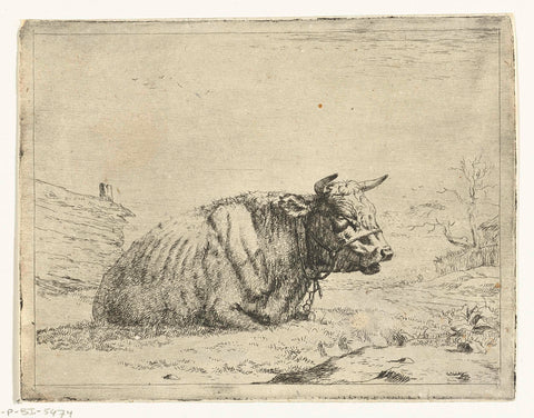 Resting cow with halter, Marcus de Bye, 1657 - 1688 Canvas Print