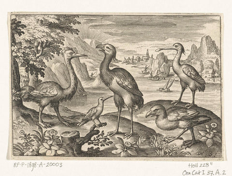 Five birds including spoonbill, Nicolaes de Bruyn, 1594 Canvas Print