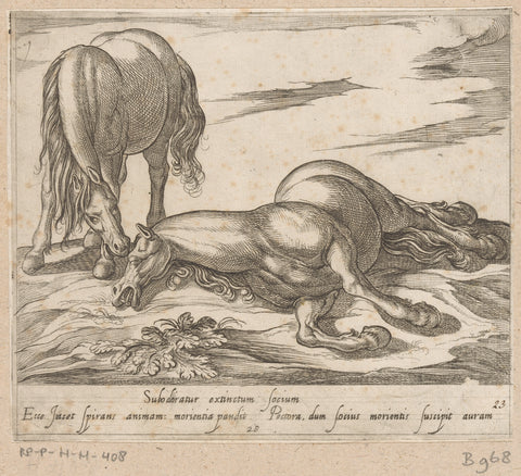 Standing horse at lying dead horse, Antonio Tempesta, 1590 Canvas Print