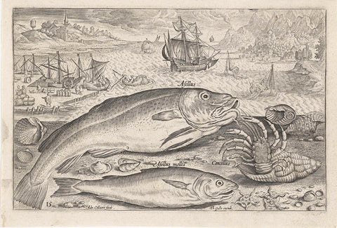 Two fish on the beach, Adriaen Collaert, 1627 - 1636 Canvas Print