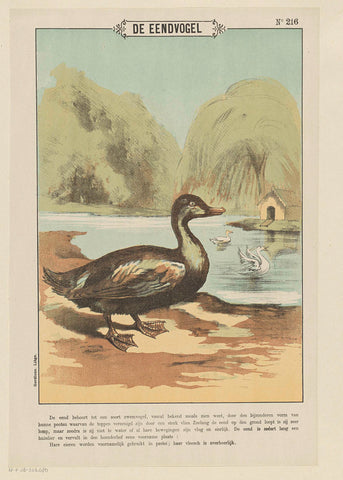 De eendvogel, Gordinne, 1894 - 1959 Canvas Print