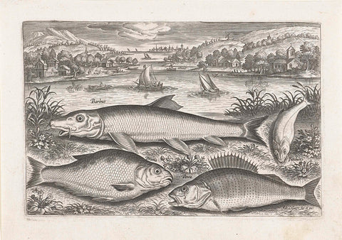 Four fish on a bank, Adriaen Collaert, after 1598 - 1618 Canvas Print