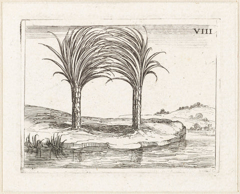 Two palm trees, Jacques Callot, 1646 Canvas Print