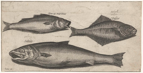 Sea bass, sole and a salmon, Pierre Firens, 1600 - 1638 Canvas Print