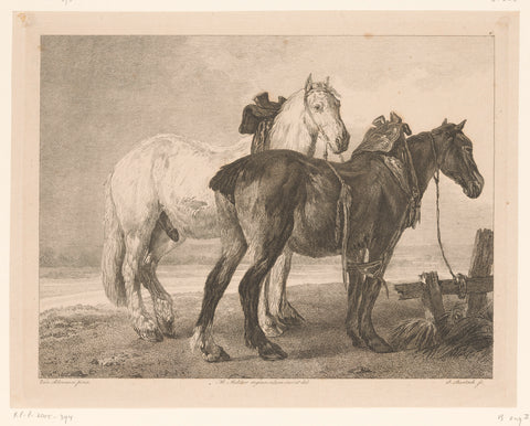 Two horses in river landscape, Adam von Bartsch, 1809 Canvas Print