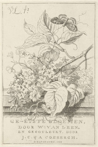 Flower study with butterfly, Willem van Leen, 1801 Canvas Print