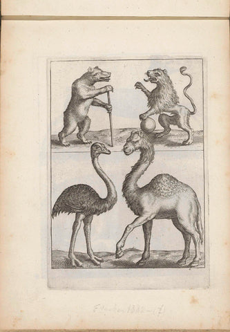 Bear, lion, ostrich and dromedary, anonymous, 1635 - 1660 Canvas Print