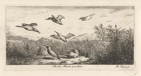 Landscape with kingfishers, Albert Flamen, 1648 - 1692 Canvas Print