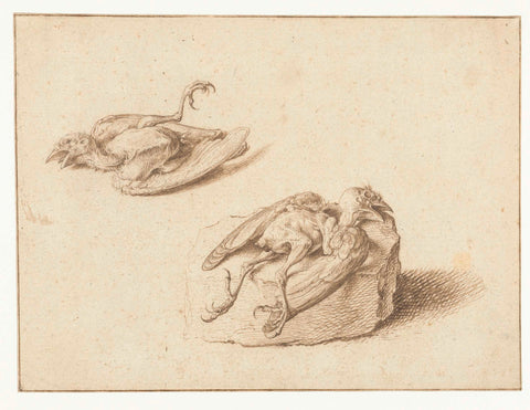 Two Studies of a Dead Bird, Jacob de Gheyn (II), 1575 - 1625 Canvas Print