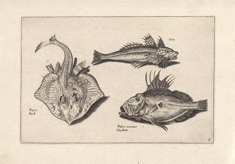 Three fish, anonymous, 1634 Canvas Print