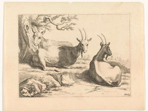 Goats, Frederick Bloemaert, 1740 Canvas Print