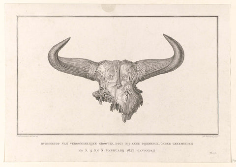 Bovine skull, 1825, Daniël Veelwaard (II), 1825 - 1826 Canvas Print