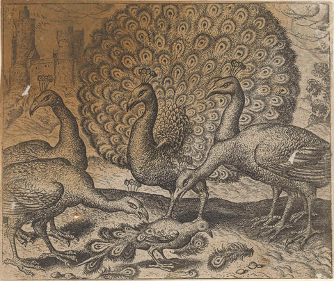 Fable of the Magpie with the Peacock Feathers, Aegidius Sadeler, 1608 Canvas Print