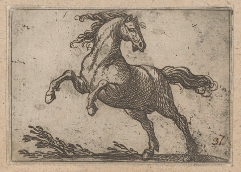 Prancing horse to the left, Antonio Tempesta, 1565 - 1630 Canvas Print