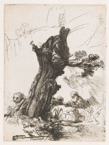 St Jerome beside a pollard willow, Rembrandt van Rijn, 1648 Canvas Print