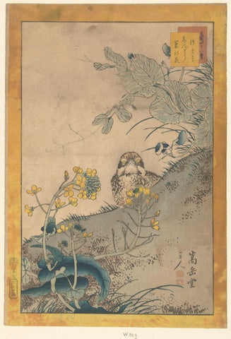 Young thrush, flowering pea and rapeseed, Nakayama Sugakudo, 1860 Canvas Print