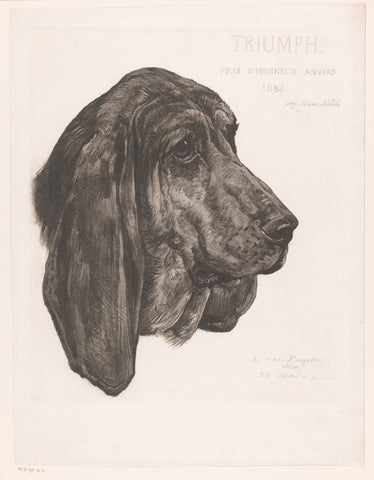 Head of a bloodhound, Louis van Engelen, 1884 Canvas Print