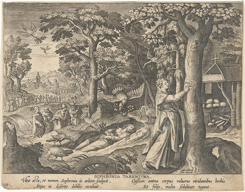 Sophronia Tarentina, Adriaen Collaert, 1570 - 1618 Canvas Print