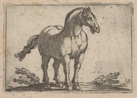 Standing horse seen from the front, Antonio Tempesta, 1565 - 1630 Canvas Print