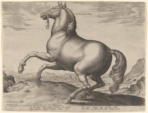 Horse from France (Gallicus), Hieronymus Wierix, c. 1583 - c. 1585 Canvas Print