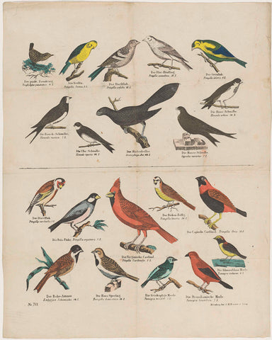 Vogels, G.N. Renner & Co., 1837 - 1868 Canvas Print