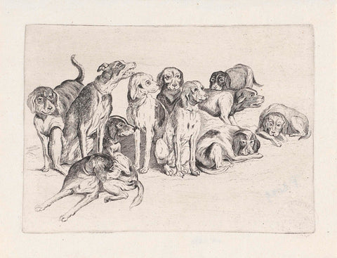 Eleven hunting dogs, Wenceslaus Hollar, 1646 - 1647 Canvas Print