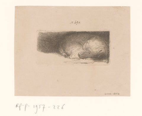 Sleaping puppy, anonymous, 1640 Canvas Print