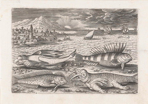 Some fish and a walrus on the beach, Adriaen Collaert, after 1598 - 1618 Canvas Print