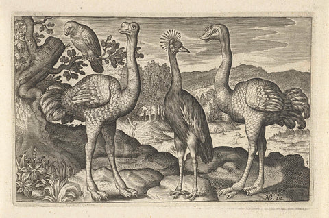 Crowned crane between two ostriches, Nicolaes de Bruyn, 1594 - 1644 Canvas Print